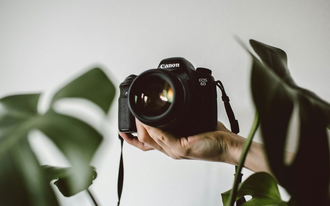 The Art of Minimalist Photography: Capturing Simplicity